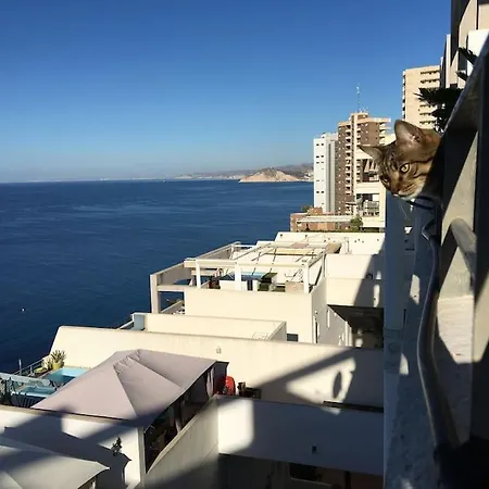 Piso En La Primera Linea Del Mar Con 2 Апартаменты *